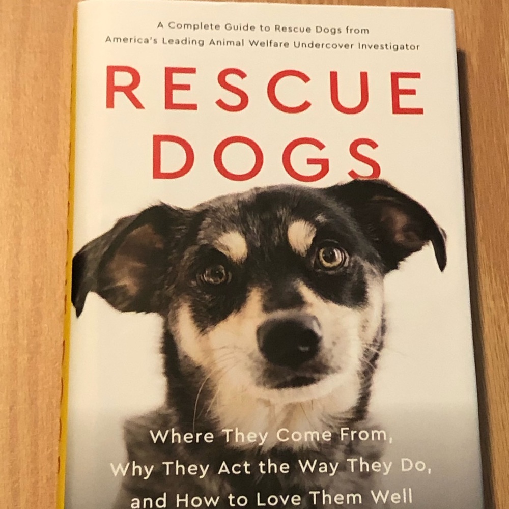 ❤️RESCUE DOGS❤️